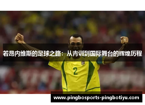 若昂内维斯的足球之路：从青训到国际舞台的辉煌历程
