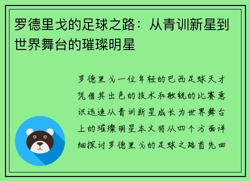 罗德里戈的足球之路：从青训新星到世界舞台的璀璨明星